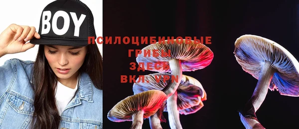 прущие крисы Володарск