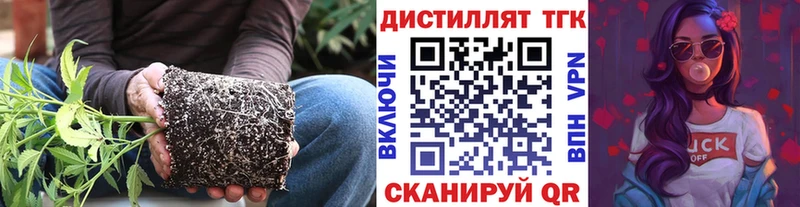 Дистиллят ТГК вейп  блэк спрут tor  Певек 